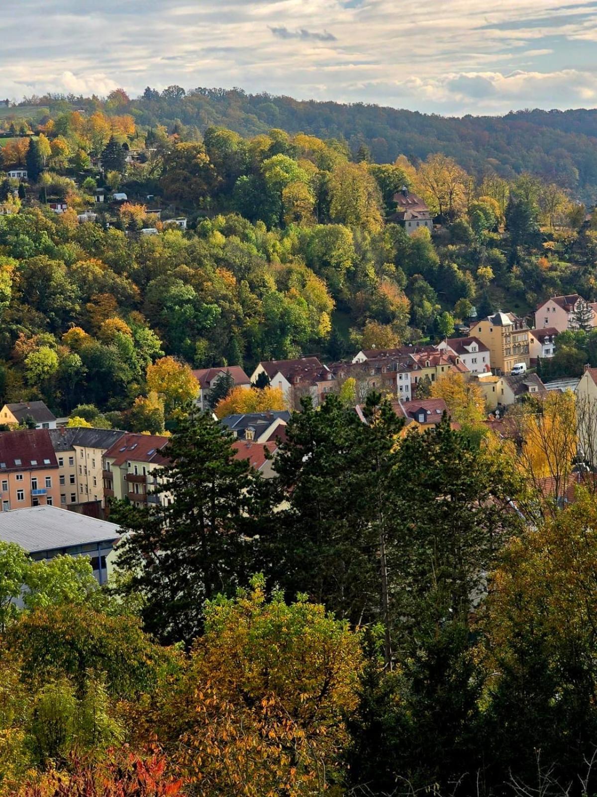 Cozy Pet-Friendly Apartment Meißen Exteriör bild